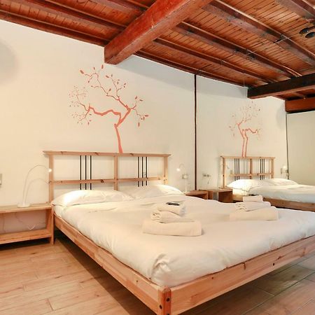 San Zanobi Apartment Firenze Bagian luar foto